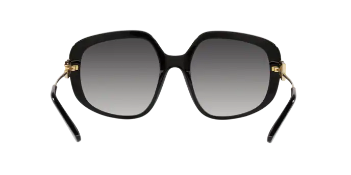Dolce & Gabbana Sunglasses DG4421 501/8G