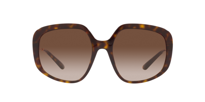 Dolce & Gabbana Sunglasses DG4421 502/13