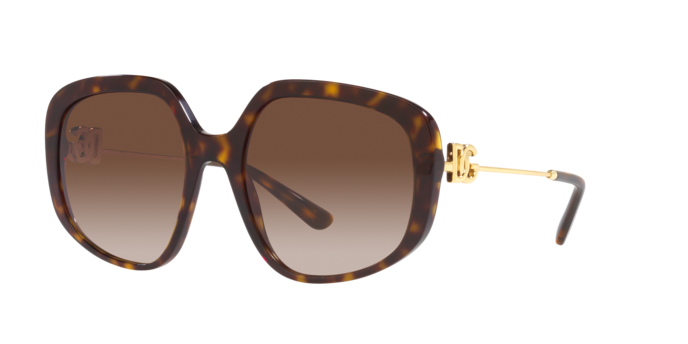 Dolce & Gabbana Sunglasses DG4421 502/13