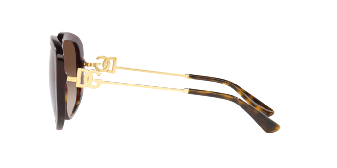 Dolce & Gabbana Sunglasses DG4421 502/13