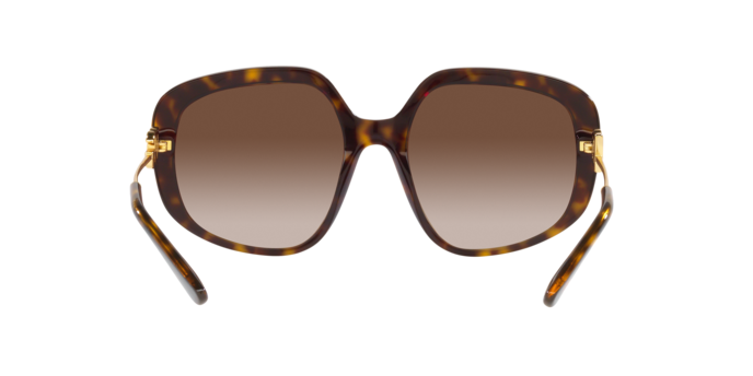 Dolce & Gabbana Sunglasses DG4421 502/13