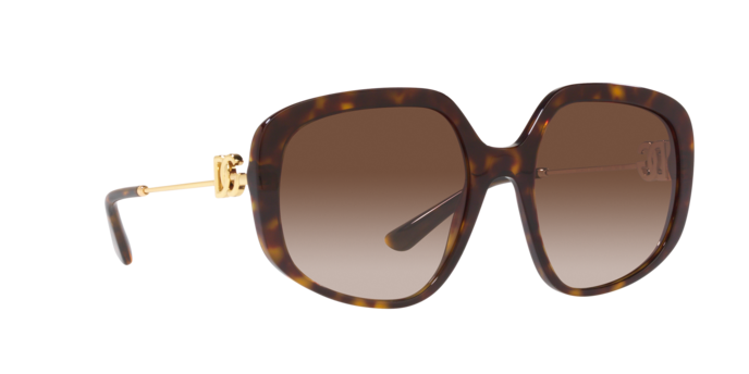 Dolce & Gabbana Sunglasses DG4421 502/13