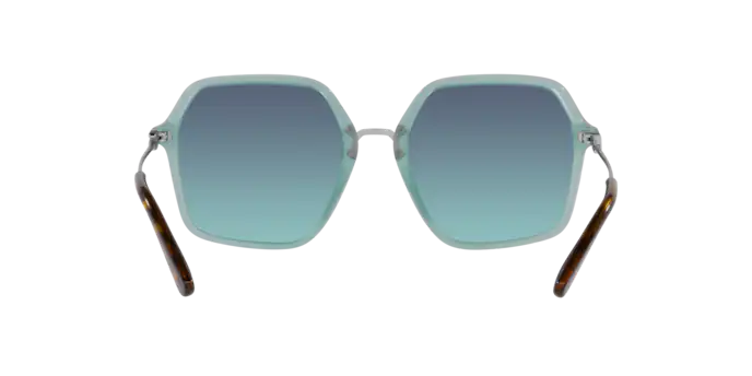 Dolce & Gabbana Sunglasses DG4422 33834S