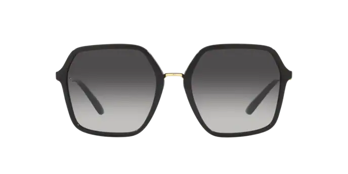 Dolce & Gabbana Sunglasses DG4422 501/8G