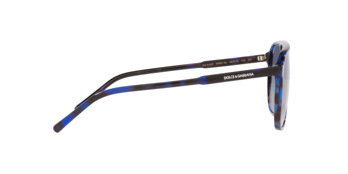 Dolce & Gabbana Sunglasses DG4423 33924L