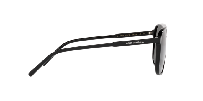 Dolce & Gabbana Sunglasses DG4423 501/81