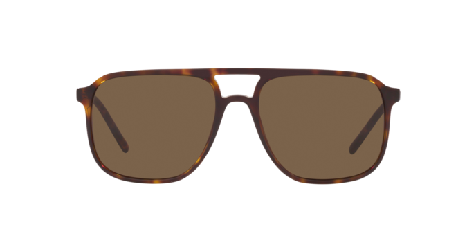 Dolce & Gabbana Sunglasses DG4423 502/73