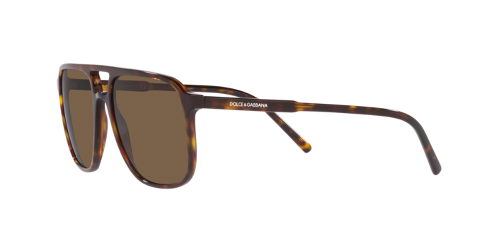 Dolce & Gabbana Sunglasses DG4423 502/73