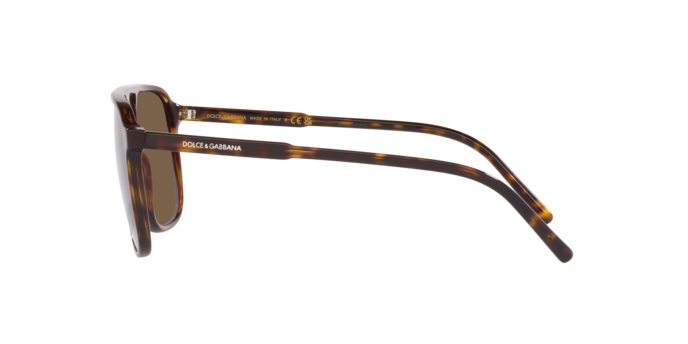 Dolce & Gabbana Sunglasses DG4423 502/73