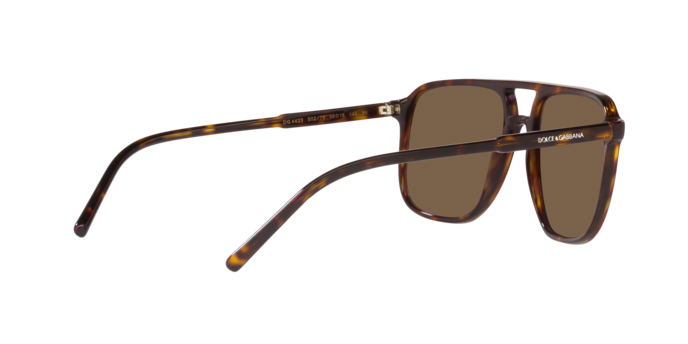 Dolce & Gabbana Sunglasses DG4423 502/73