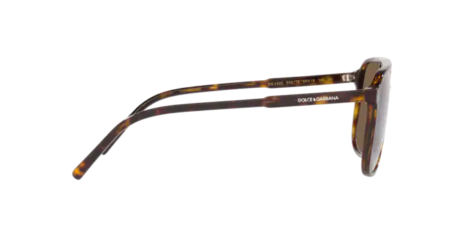 Dolce & Gabbana Sunglasses DG4423 502/73