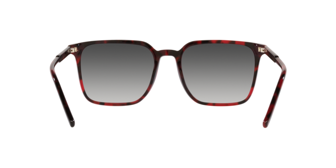 Dolce & Gabbana Sunglasses DG4424 33588G