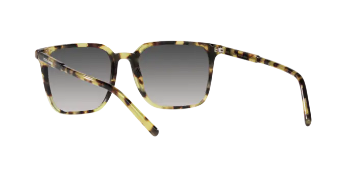 Dolce & Gabbana Sunglasses DG4424 512/8G