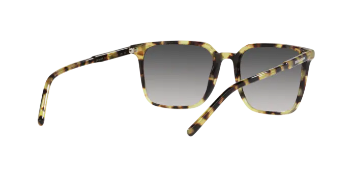 Dolce & Gabbana Sunglasses DG4424 512/8G