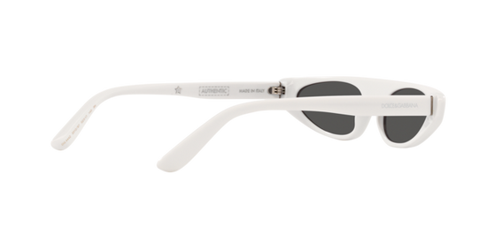 Dolce & Gabbana Sunglasses DG4442 331287