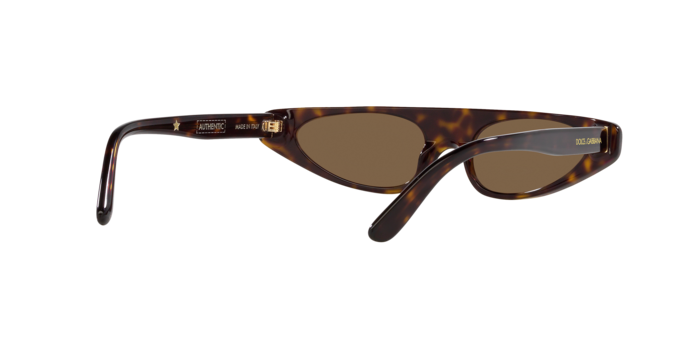 Dolce & Gabbana Sunglasses DG4442 502/73