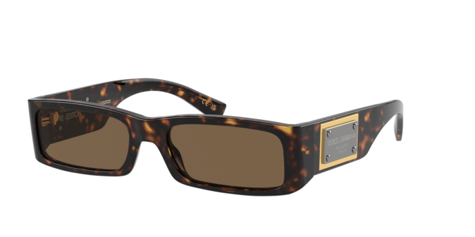 Dolce & Gabbana Sunglasses DG4444 502/73