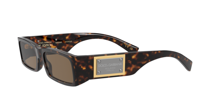 Dolce & Gabbana Sunglasses DG4444 502/73