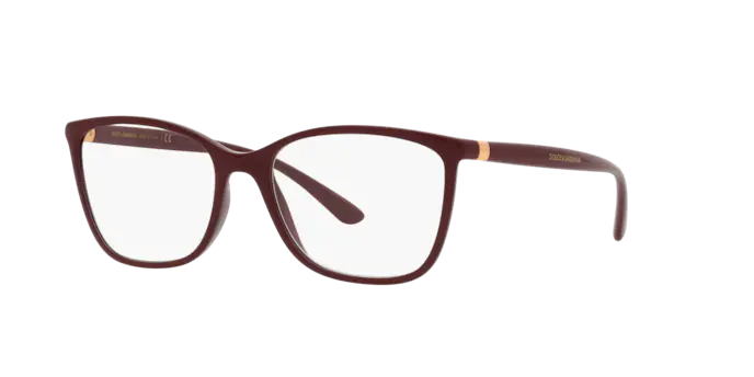 Dolce & Gabbana Eyeglasses DG5026 3247