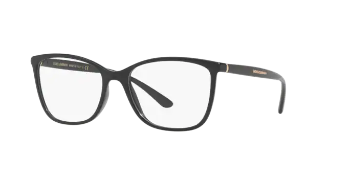 Dolce & Gabbana Eyeglasses DG5026 501