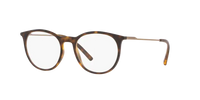Dolce & Gabbana DG5031 1935