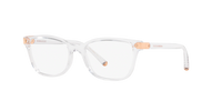 Dolce & Gabbana DG5036 3133