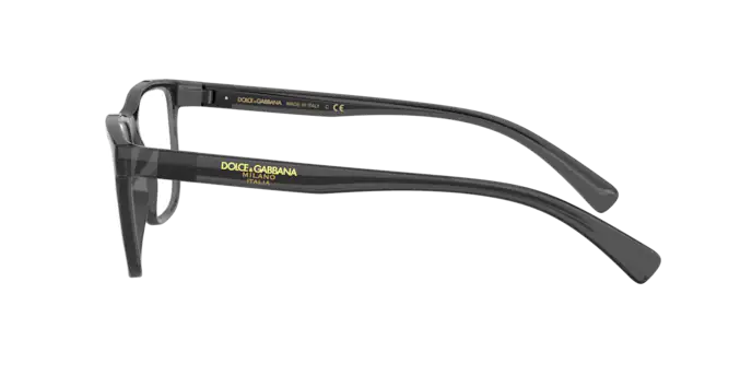 Dolce & Gabbana Eyeglasses DG5053 3257