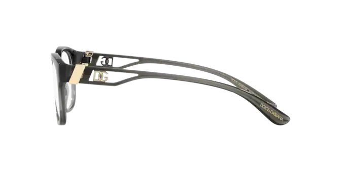 Dolce & Gabbana Eyeglasses DG5066 3291