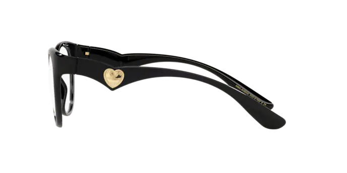 Dolce & Gabbana Eyeglasses DG5069 501