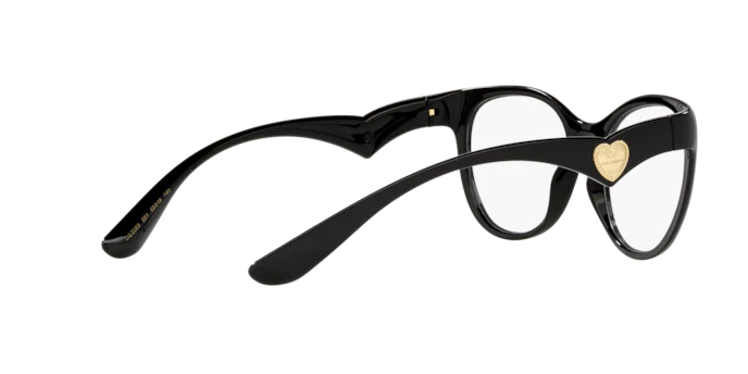 Dolce & Gabbana Eyeglasses DG5069 501