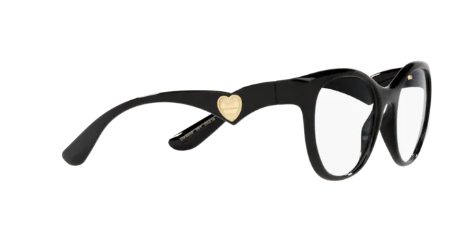 Dolce & Gabbana Eyeglasses DG5069 501