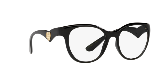 Dolce & Gabbana Eyeglasses DG5069 501