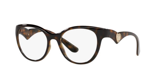 Dolce & Gabbana Eyeglasses DG5069 502