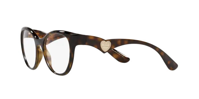 Dolce & Gabbana Eyeglasses DG5069 502