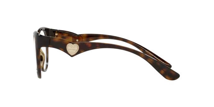 Dolce & Gabbana Eyeglasses DG5069 502