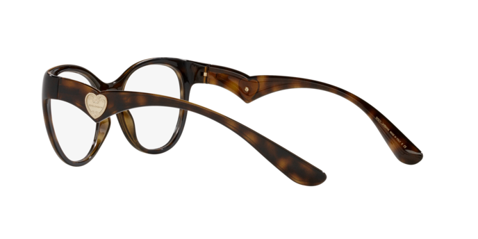 Dolce & Gabbana Eyeglasses DG5069 502