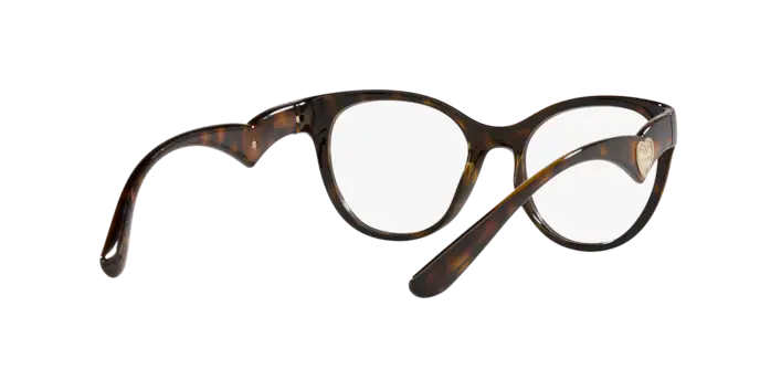 Dolce & Gabbana Eyeglasses DG5069 502