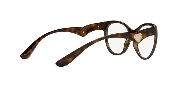 Dolce & Gabbana Eyeglasses DG5069 502