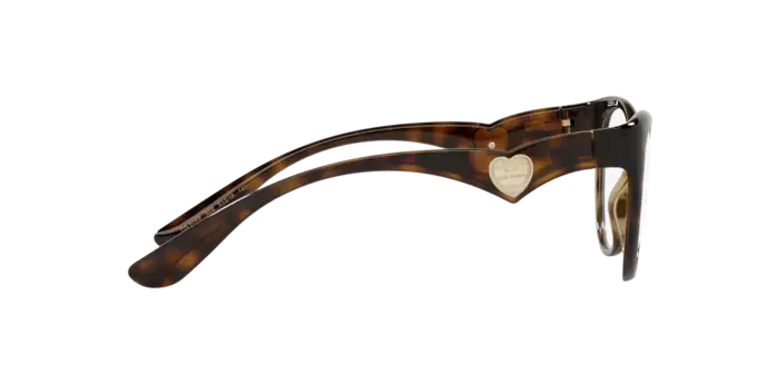 Dolce & Gabbana Eyeglasses DG5069 502