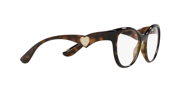 Dolce & Gabbana Eyeglasses DG5069 502