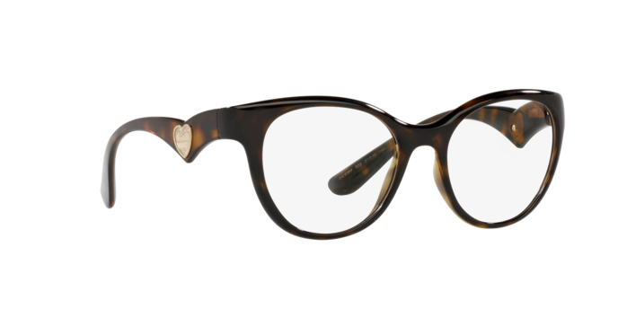 Dolce & Gabbana Eyeglasses DG5069 502