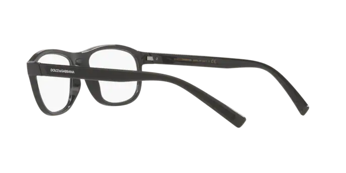 Dolce & Gabbana Eyeglasses DG5073 3101