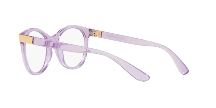 Dolce & Gabbana Eyeglasses DG5075 3045