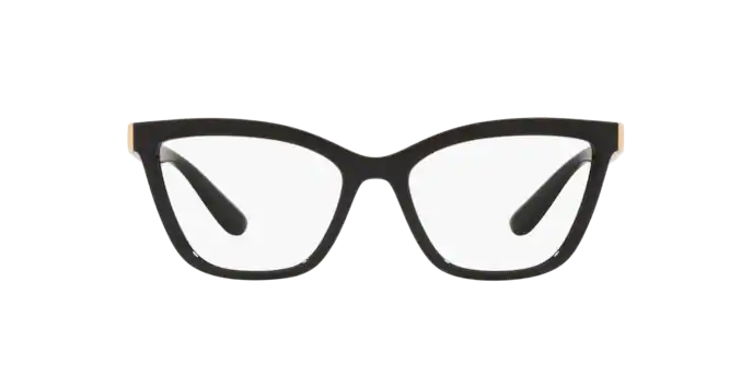 Dolce & Gabbana Eyeglasses DG5076 501