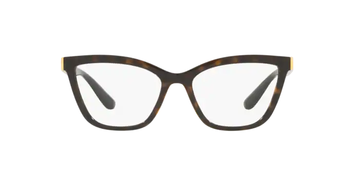 Dolce & Gabbana Eyeglasses DG5076 502