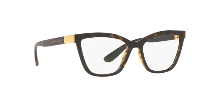 Dolce & Gabbana Eyeglasses DG5076 502