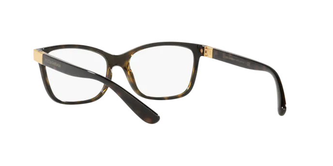Dolce & Gabbana Eyeglasses DG5077 502