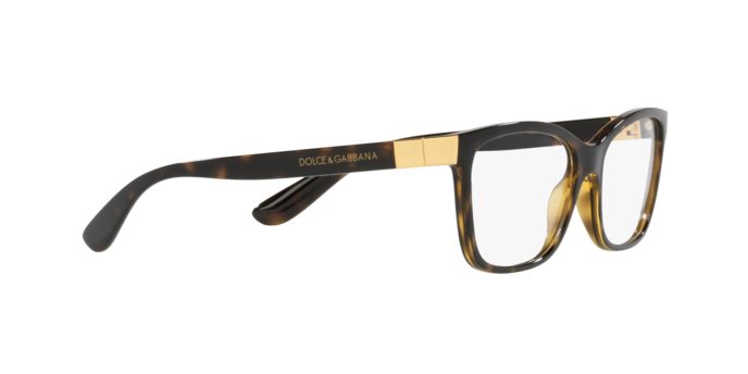 Dolce & Gabbana Eyeglasses DG5077 502