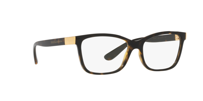 Dolce & Gabbana Eyeglasses DG5077 502