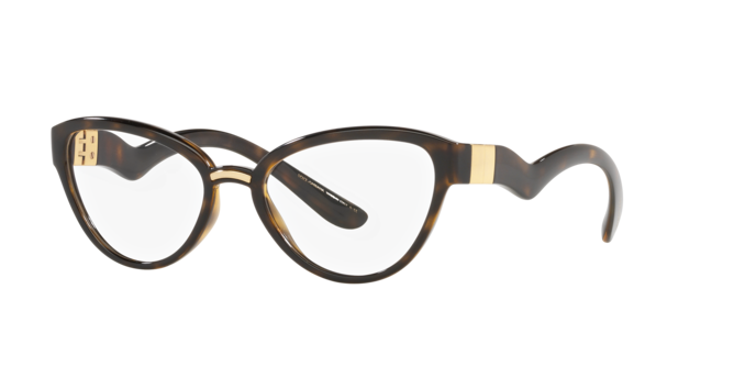 Dolce & Gabbana Eyeglasses DG5079 502